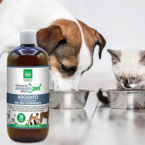 PACK ARGENTO PET